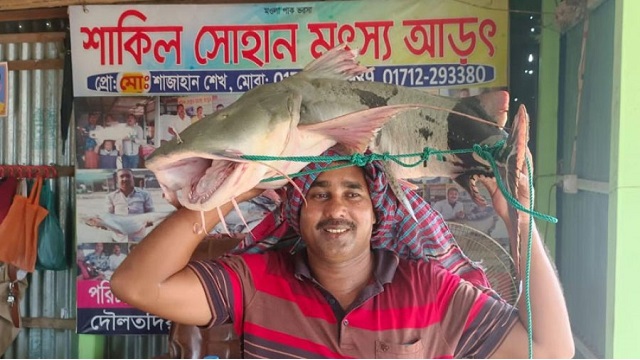  ছবি : সংগৃহীত